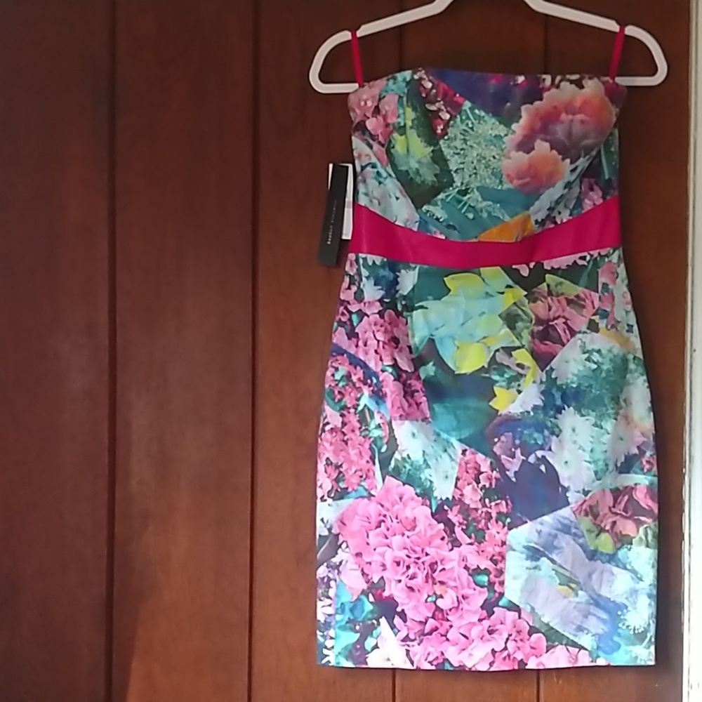 Colorful Cynthia Steffe strapless dress